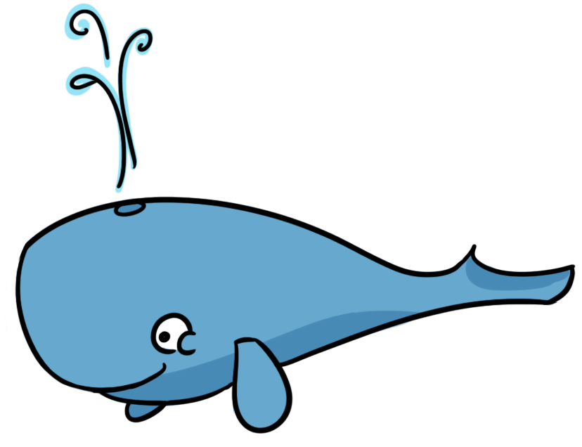 Beluga Whale Cartoon 