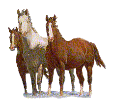 Family Horse Cliparts