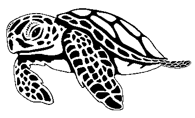 Hawaiian sea turtle clipart 