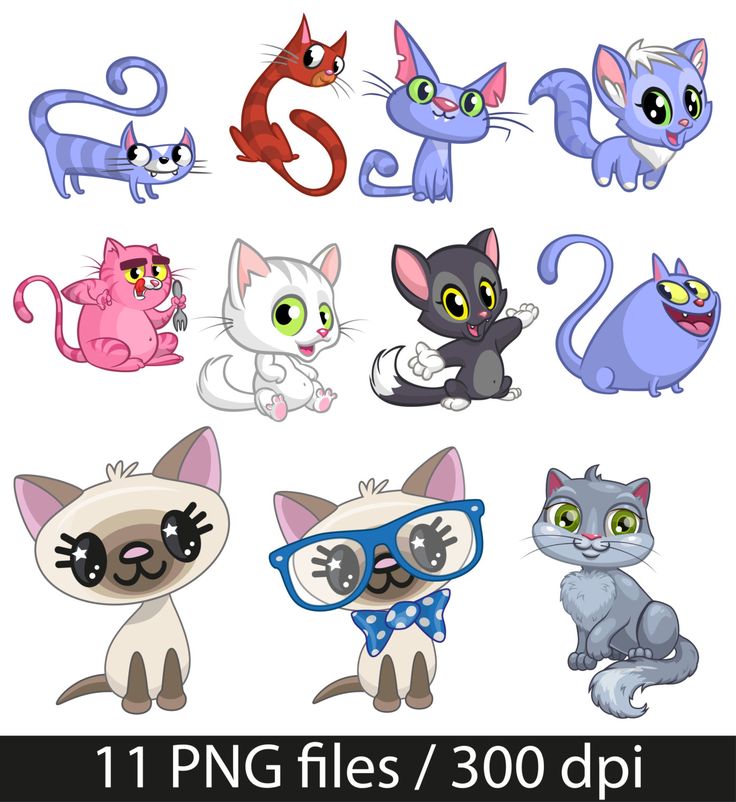 Cat Clipart 