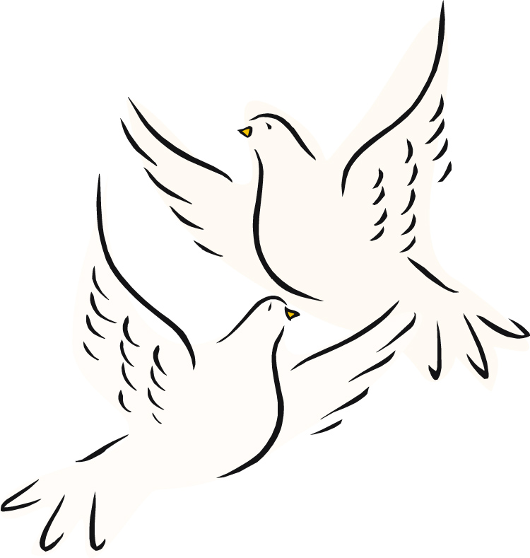 Awesome Dove Tattoo Design Ideas You Would Love  inktells