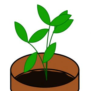 Plant Sale Cliparts