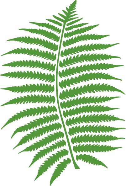 Prehistoric Tree Cliparts