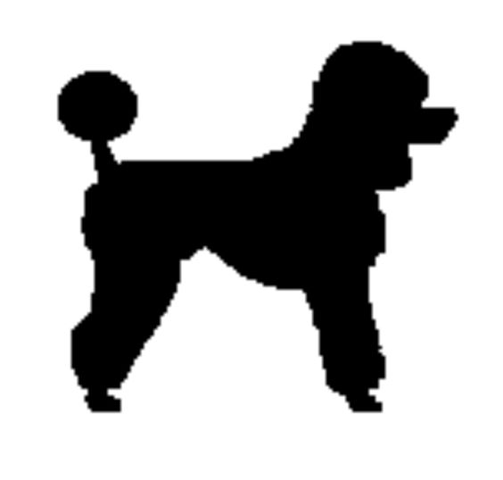 Animated Poodle Clip Art 