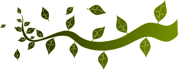 Tree Branch Clipart 