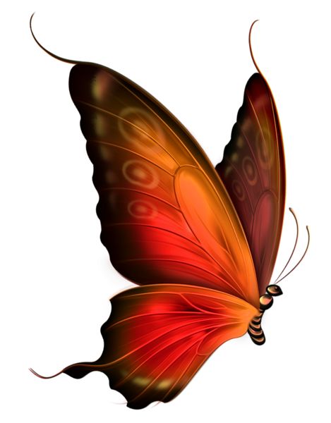Red and Brown Transparent Butterfly Clipart 