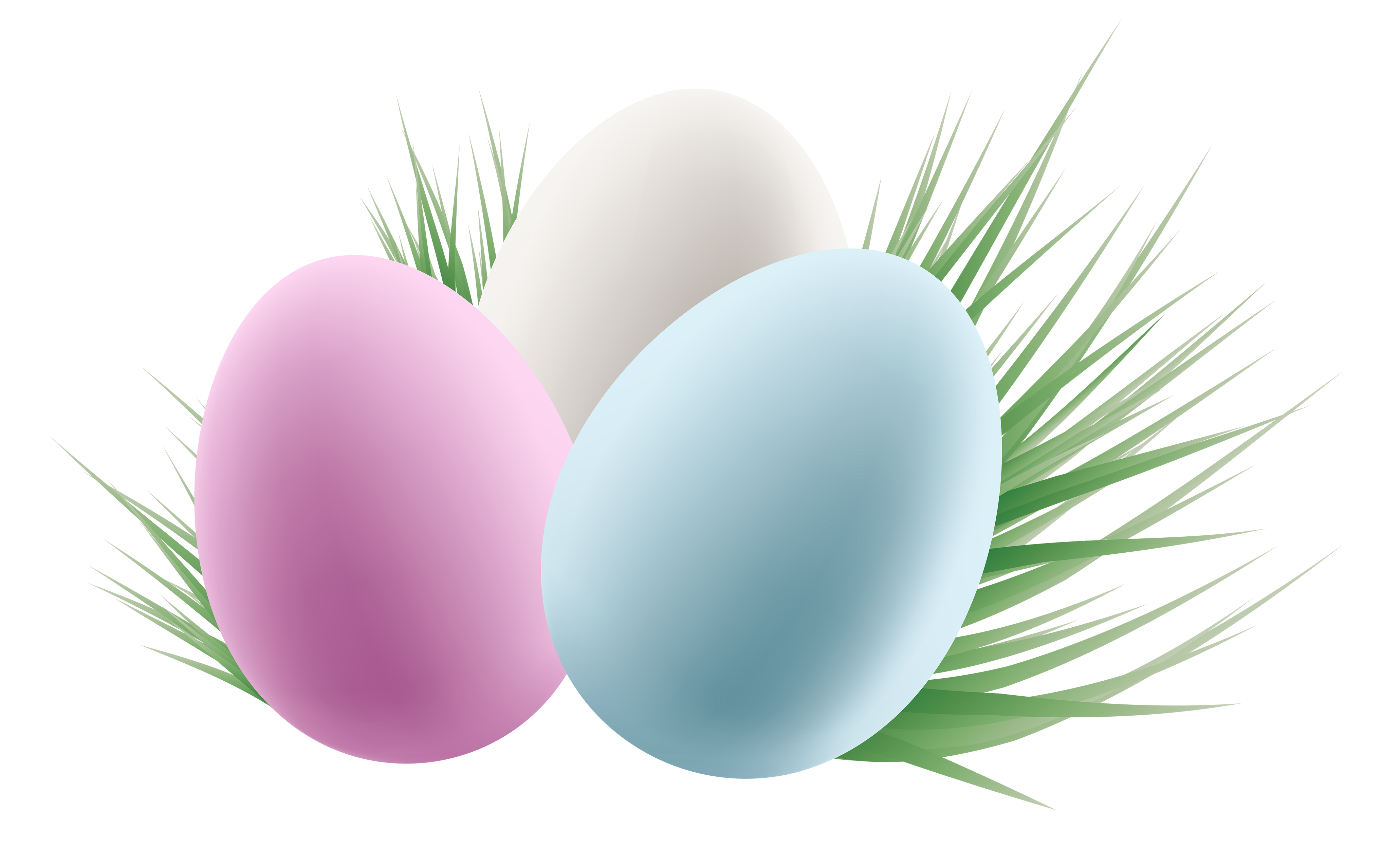 eggs PNG transparent image download, size: 1128x778px