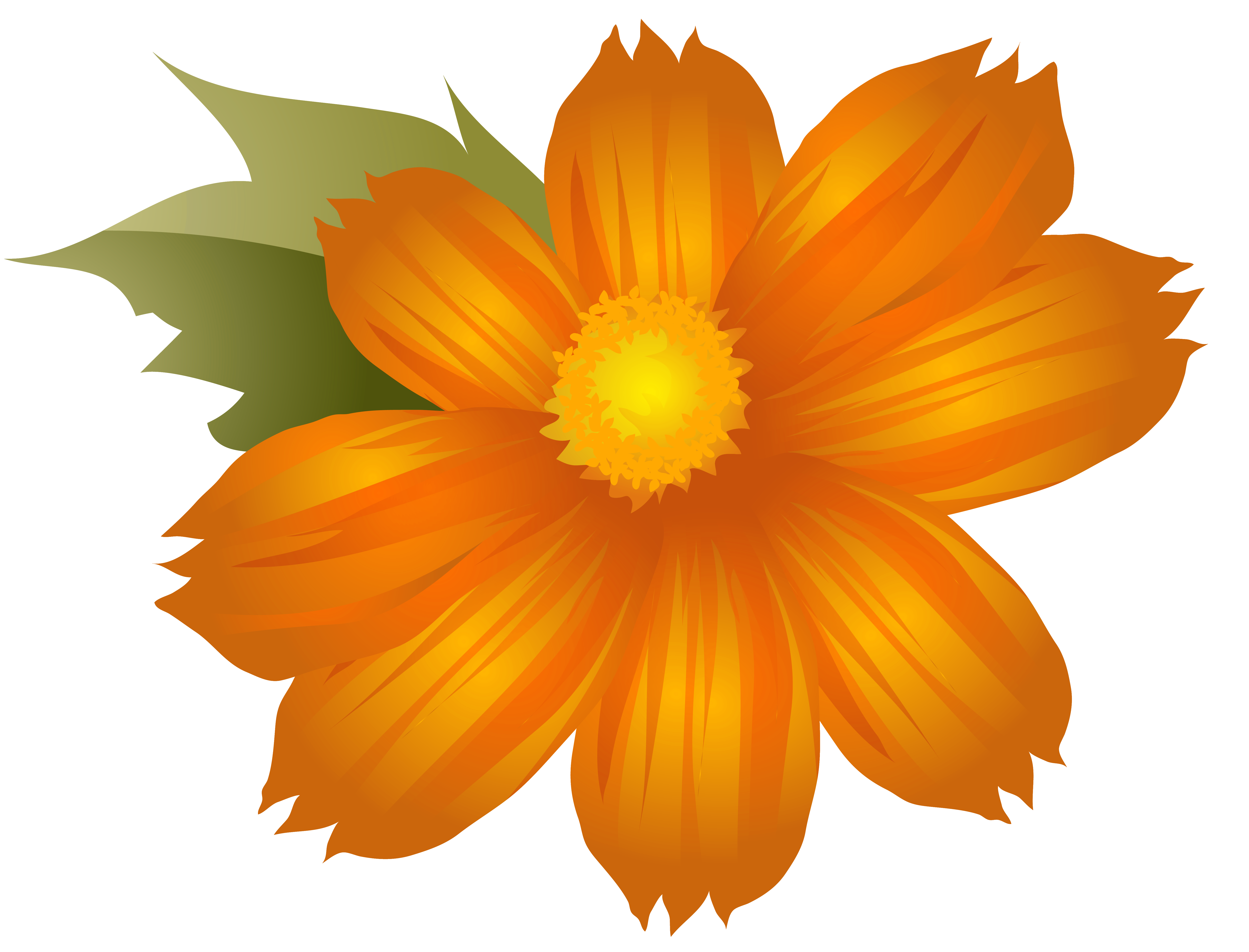 Orange Flower PNG Clip 