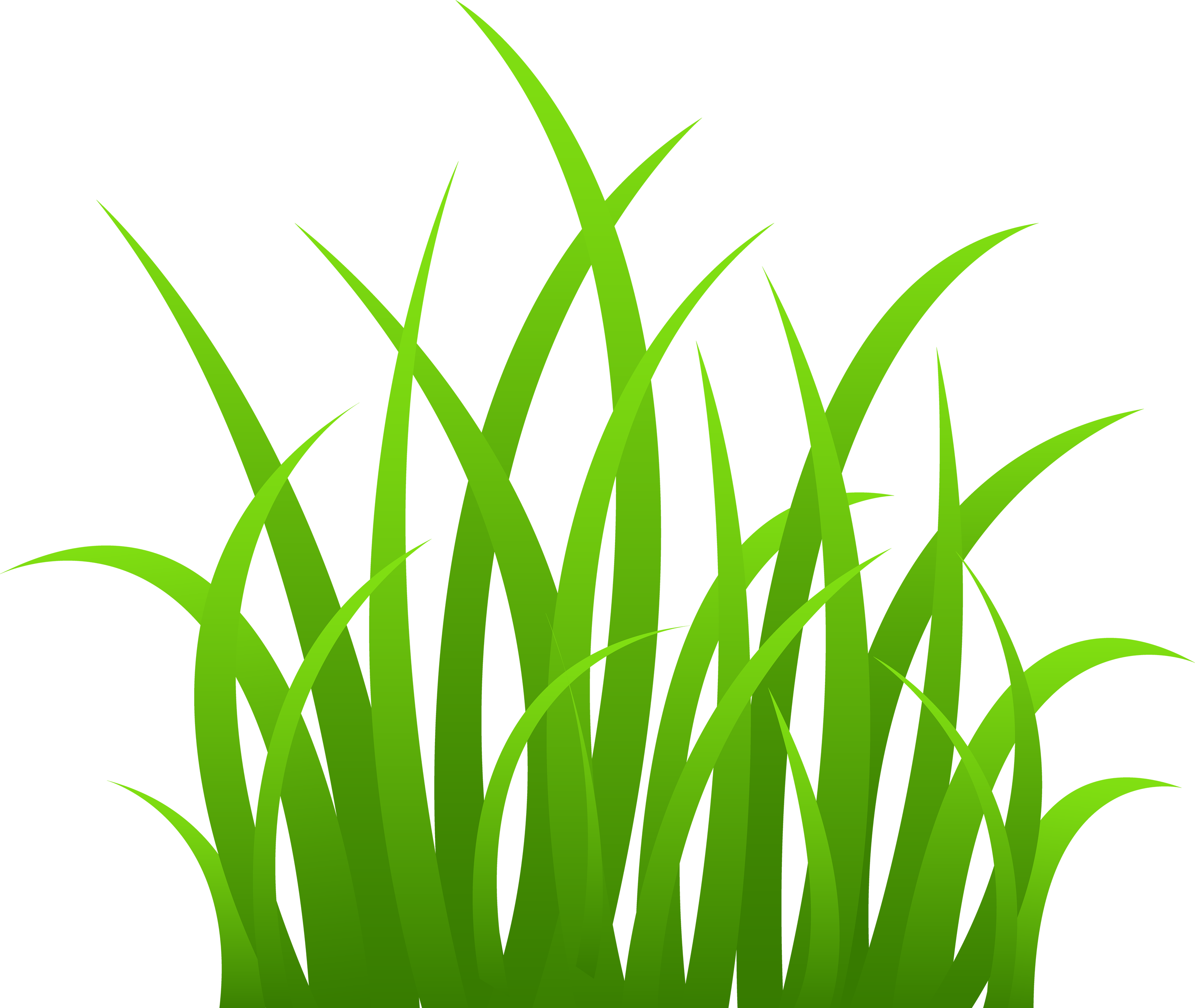 Grass PNG image, pictures 