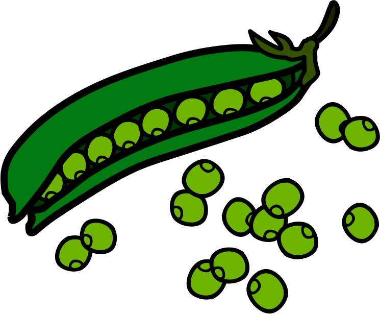 Green beans food clipart 