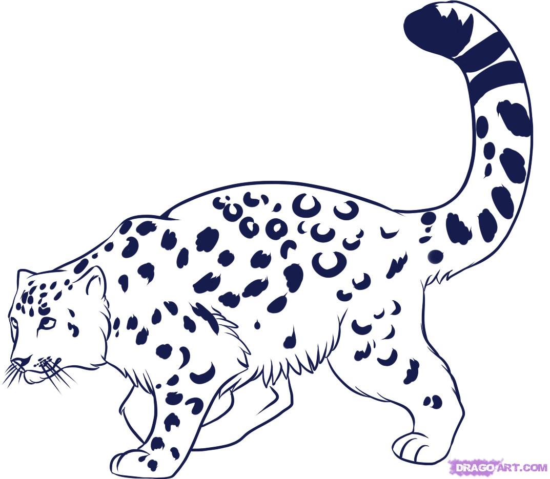 Gambar Snow Leopard Cliparts Free Download Clip Art Anime Clipart Cute ...
