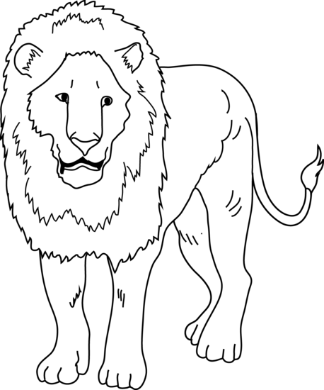 Lion black and white lion outline clipart 2 