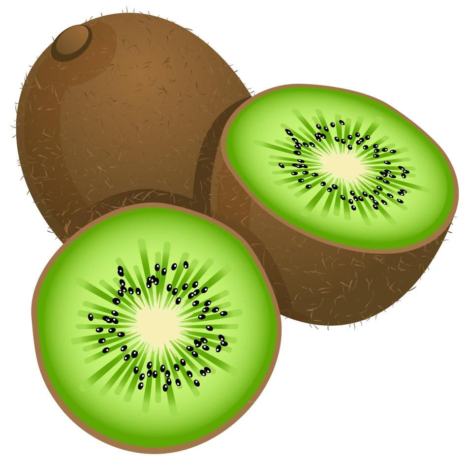 Clipart kiwi fruit 