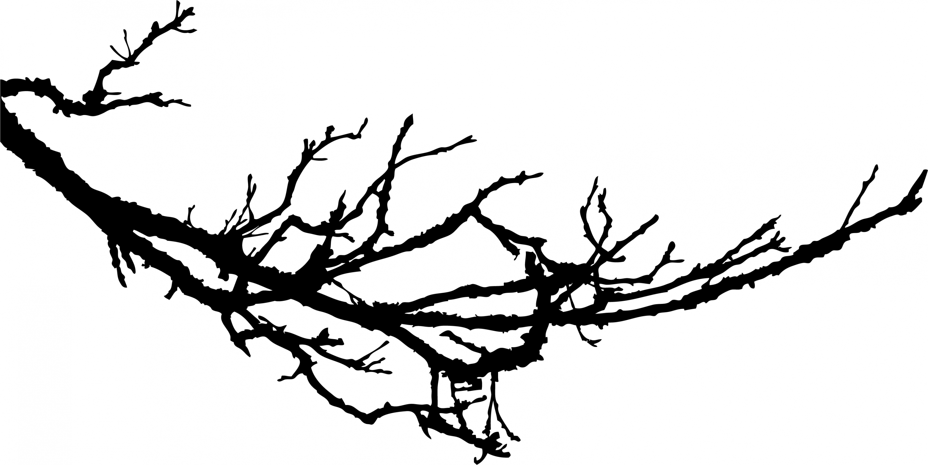 tree branch silhouette - Clip Art Library