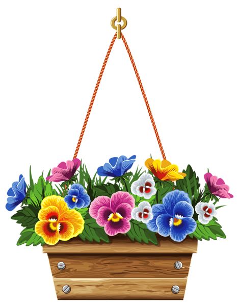 Hanging Box with Violets PNG Clipart Picture 