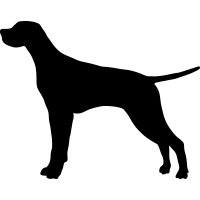 Clipart pointer dog