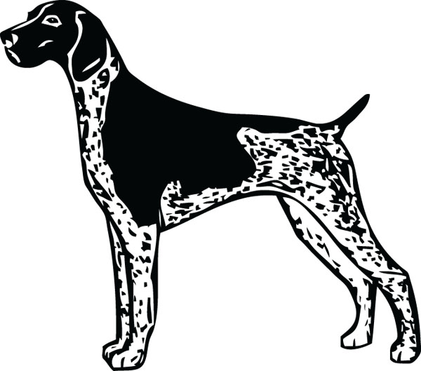 German Shorthaired Pointer Dog GSP Art For Engraved Products