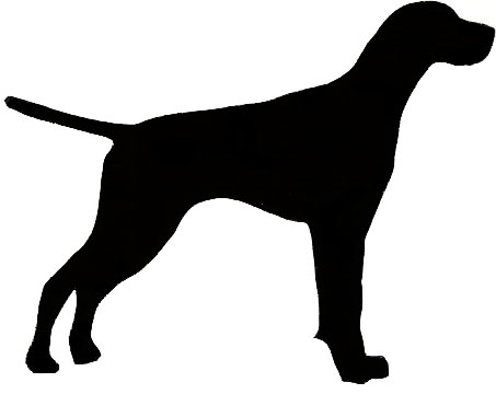 English pointer clipart