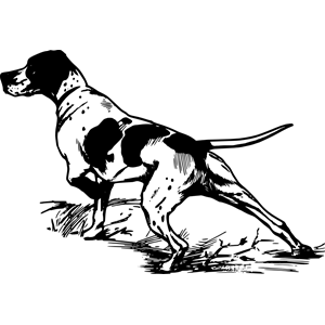 Hunting Dog clipart, cliparts of Hunting Dog free download