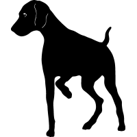 Sport Dogs Dog Breeds Vector Graphics DXF Clip Art for CNC