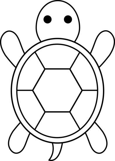 Turtle vet clipart