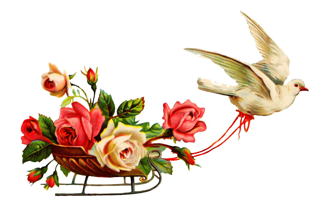Rodeo Wedding Cliparts