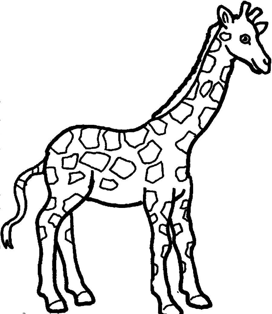 Giraffe Outlines Printable