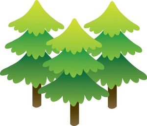 Choosing The Right Tree, Plant It In The Right Place, Shrink Your