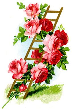 Massage Flower Cliparts