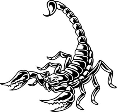 Realistic scorpion drawing 😊 : r/ZHCSubmissions