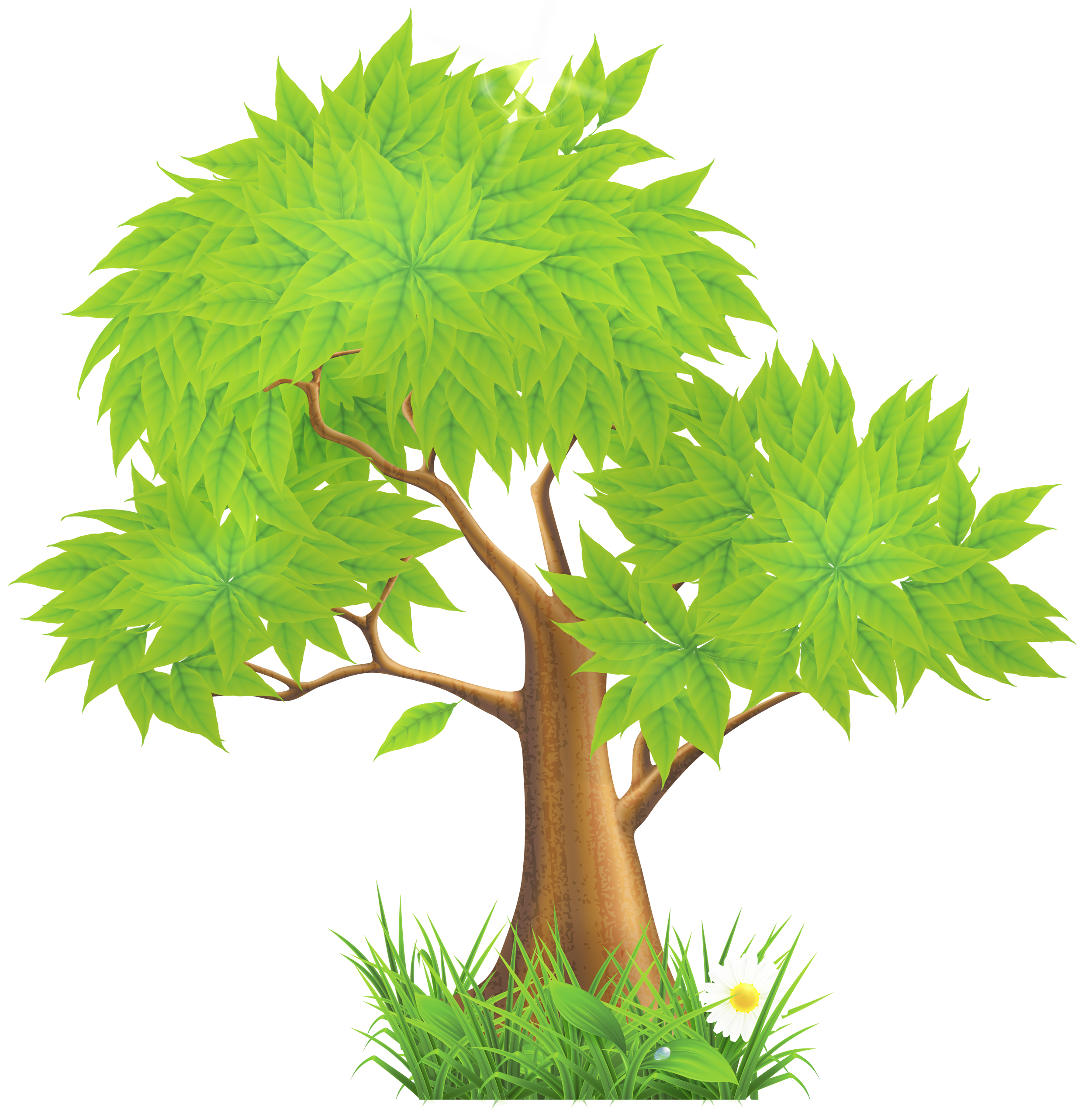 Tree clipart for kids