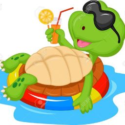 turtle sunbathing cartoon - Clip Art Library