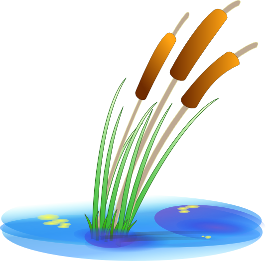Plant clipart no background