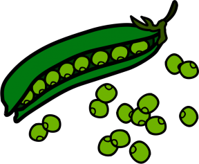 Pea Clip Art
