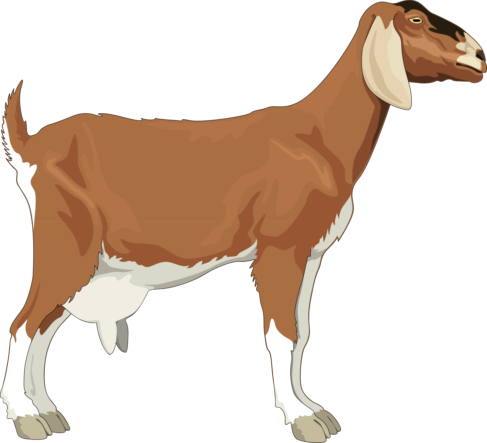 Free Animated Goats Cliparts, Download Free Animated Goats Cliparts png ...