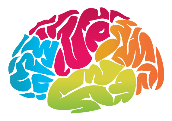 Brain PNG Transparent Image
