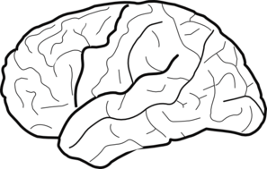 Brain clipart white