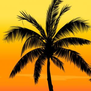 Exclusive Beach Silhouette Clip Art Silhouette Vector Clipart