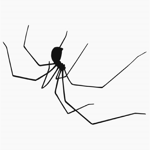 Spider clipart transparent