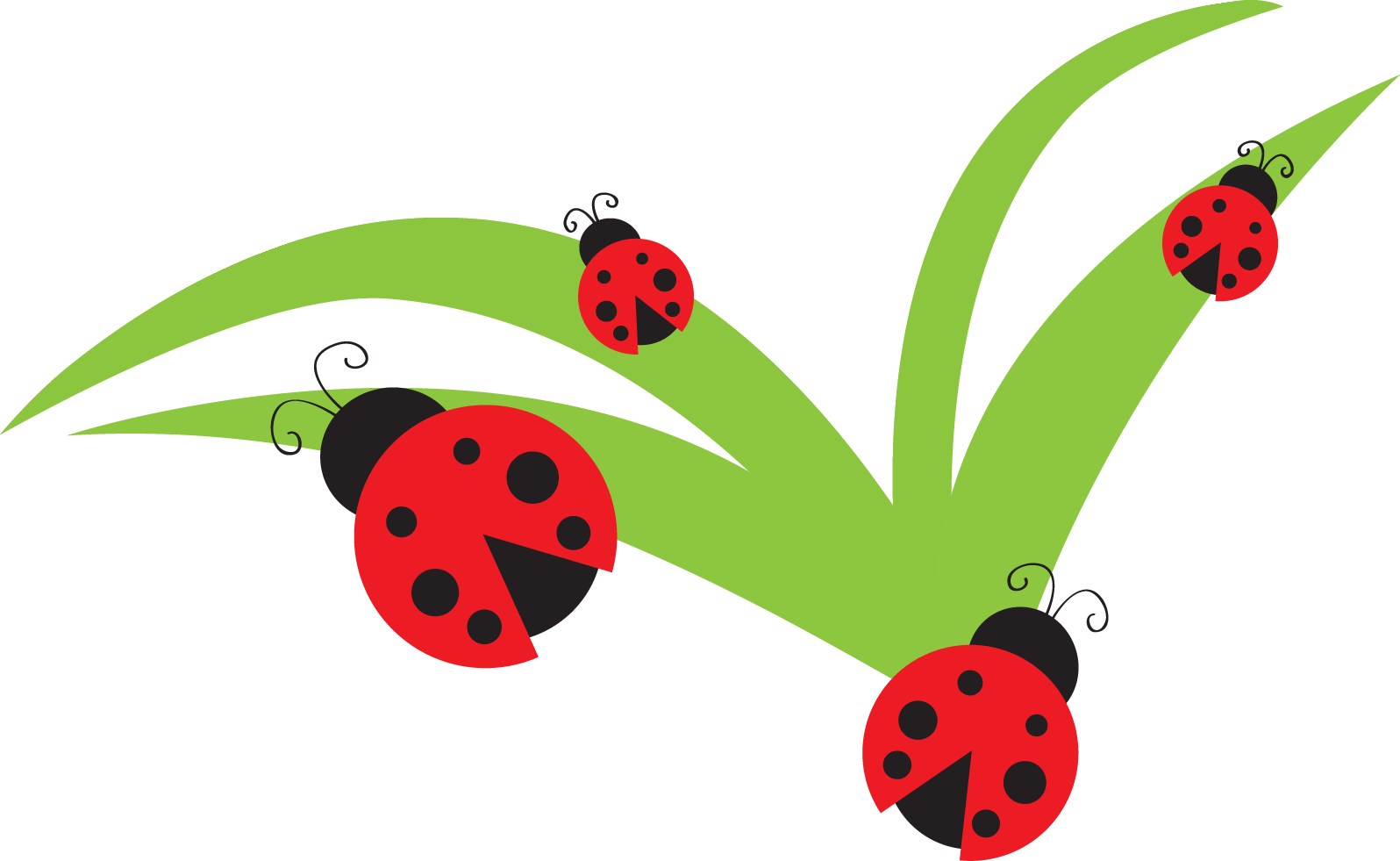 Free cartoon ladybug clipart