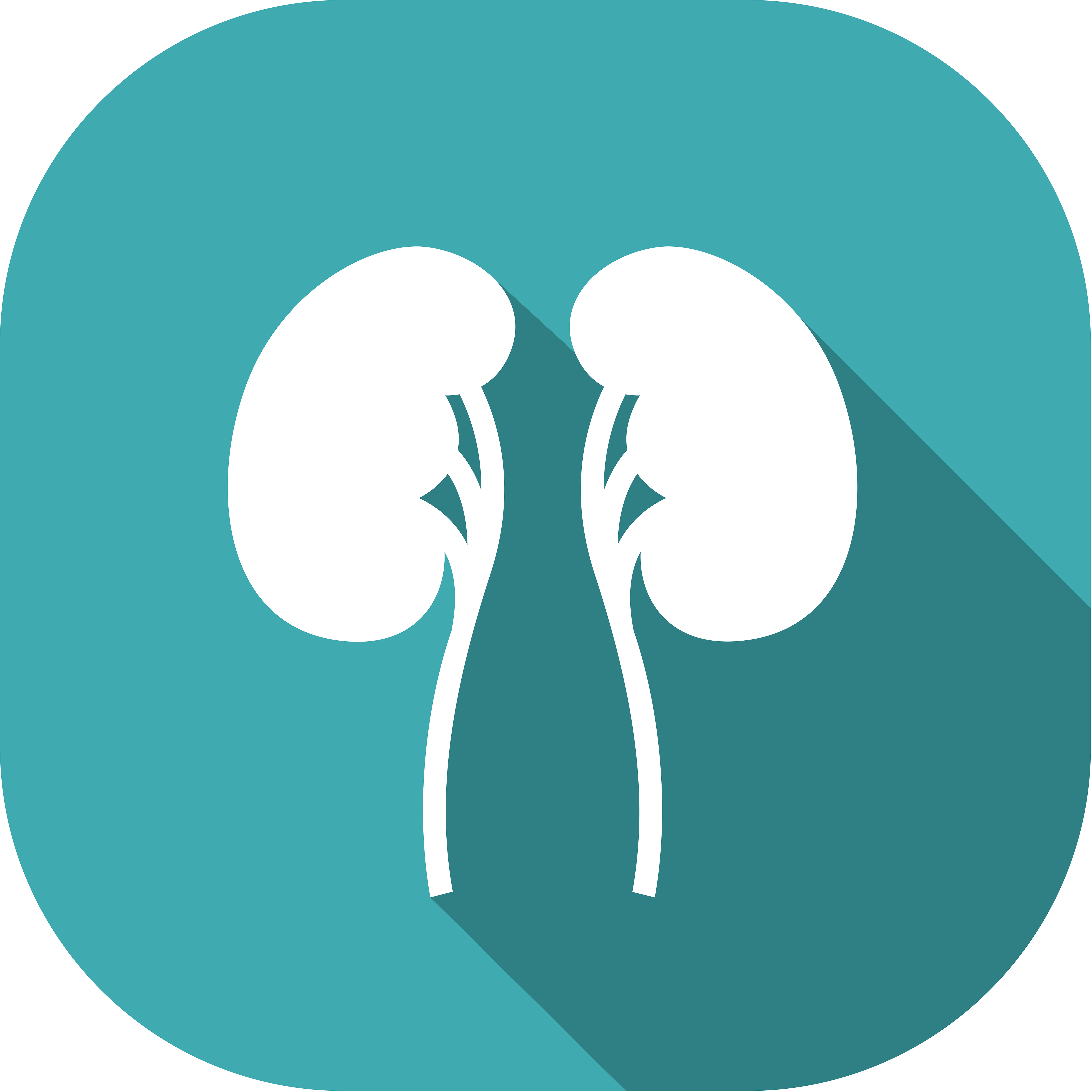 Health Kidneys Cliparts