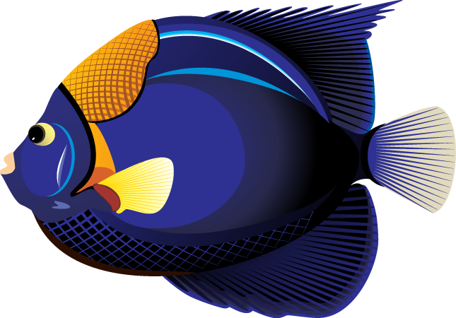 Fish Microsoft Clipart