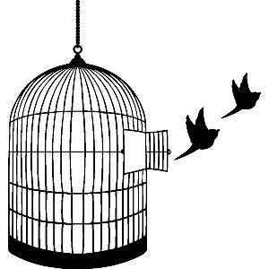 open bird cage art