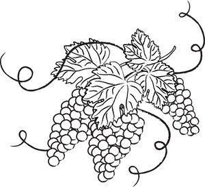 Grape Garland Cliparts