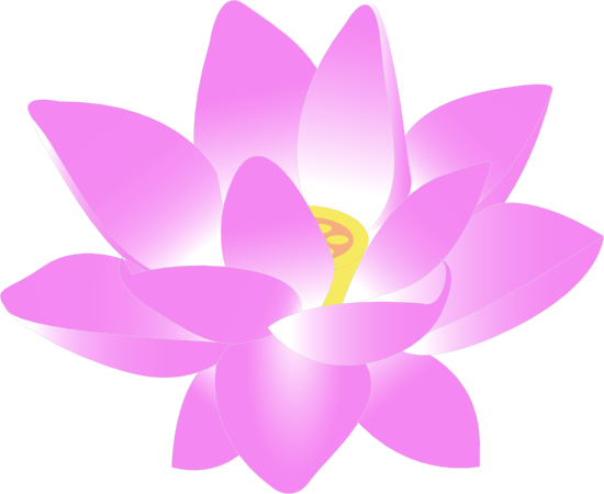 Lotus flower clipart transparent background