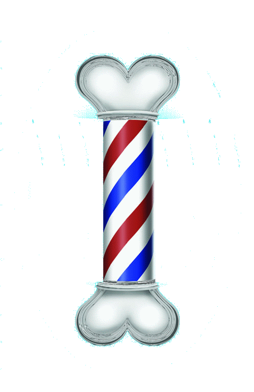 Dog Brush Clipart