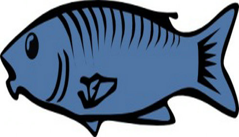 Teal Fish Cliparts