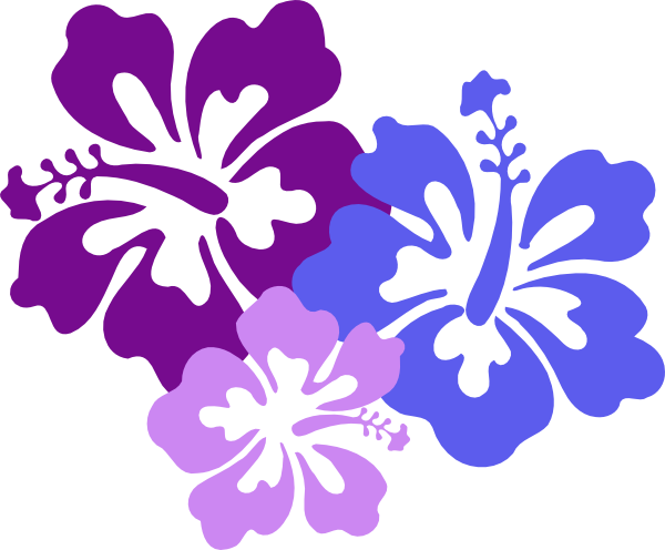 Hawaiian Flower Clip Art Borders