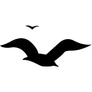 seagull clipart black and white