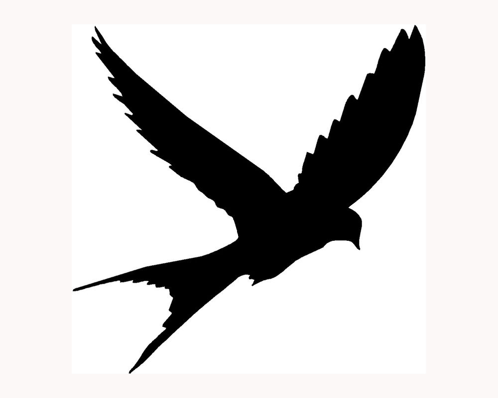 mockingbird flying silhouette